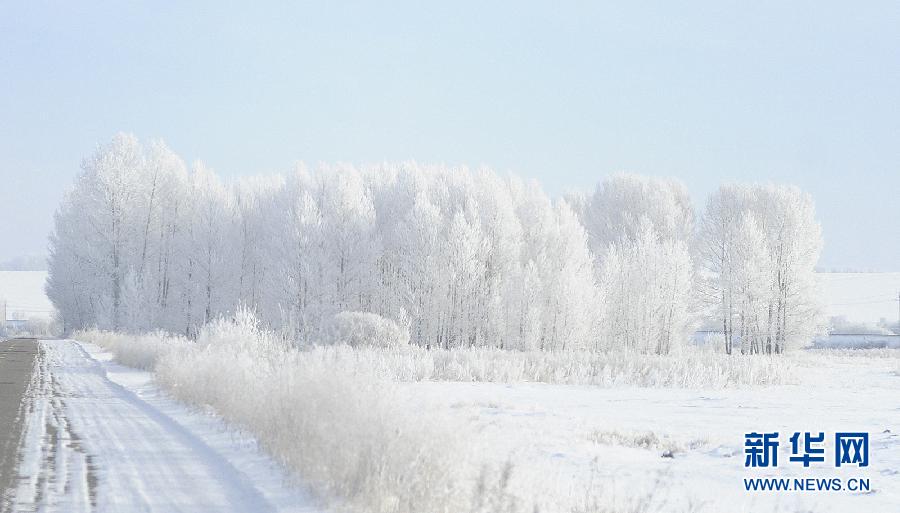 成都温江苗木价格信息系统升级财政节省1600
