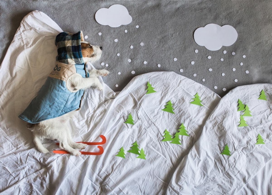 全国首个并联评审专家库在成都建立