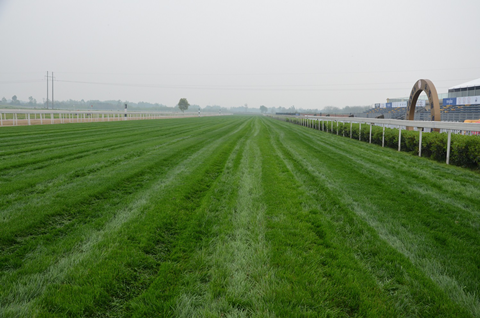 成都·迪拜国际杯赛事临近 骑手、马匹状态良