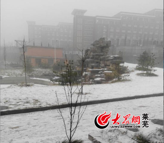 莱芜昨夜迎入冬首雪 降雪1.5mm市区无积雪