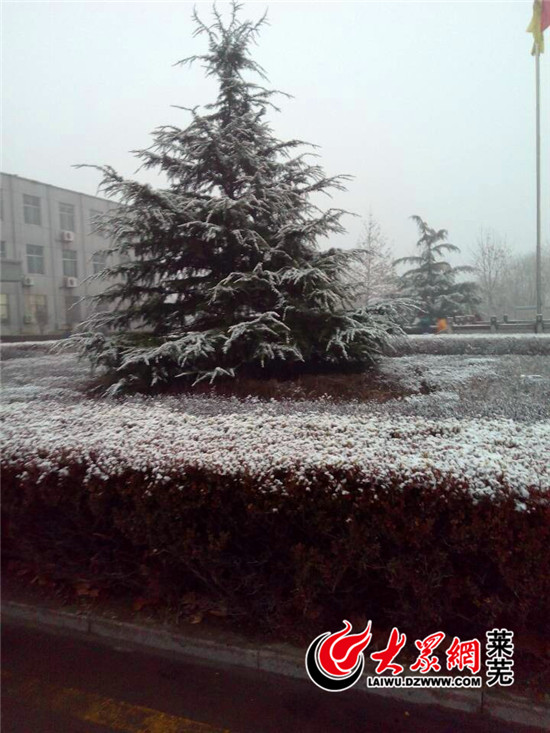 莱芜昨夜迎入冬首雪 降雪1.5mm市区无积雪