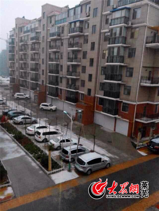 莱芜昨夜迎入冬首雪 降雪1.5mm市区无积雪