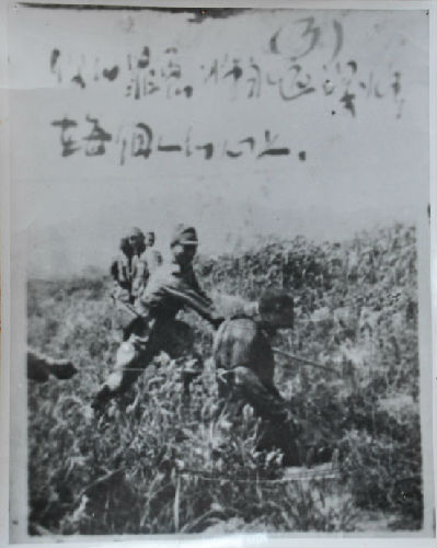 山东公布日军暴行铁证 “扫荡”过后马石山尸骨遍野