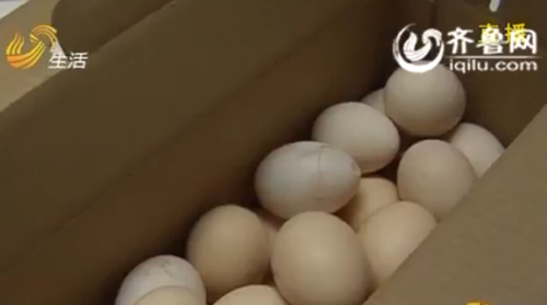 济南“山鸡蛋”价格差别大真假难辨 农户:冬季难下蛋