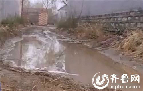 滨州官道高村卫生恶劣 垃圾堆满水塘道路泥泞难行
