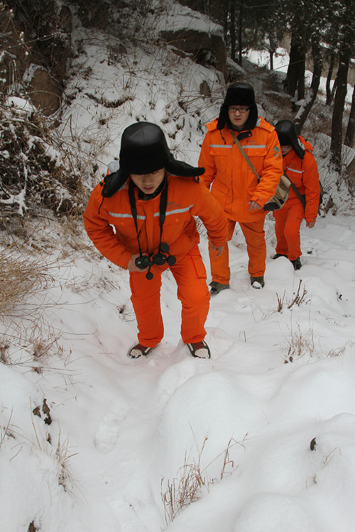 泰山电力人大山上踏出了“第五条登山路”