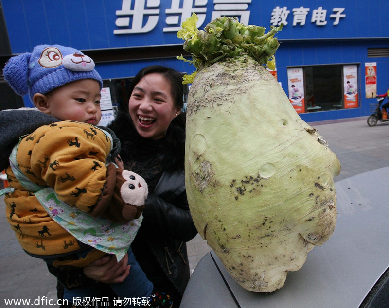 拳王霍利菲尔德驾临青岛 收中国拳手张君龙为