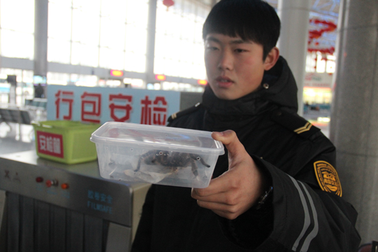 安检查出毒蜘蛛汽车站暂扣安排住上暖气房