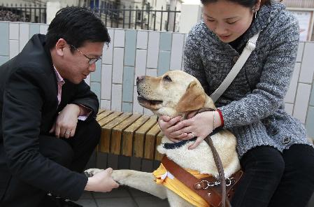 图片故事：“有它在，就不寂寞”