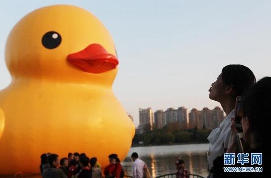 大黄鸭于本周末挥别上海 已接待游客逾50万人次