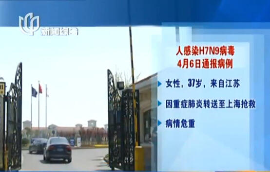 上海再现感染H7N9病毒病例 发病率与活禽交易有关