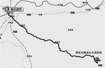 黑龙江东北虎园林1名工作人员遭老虎袭击身亡