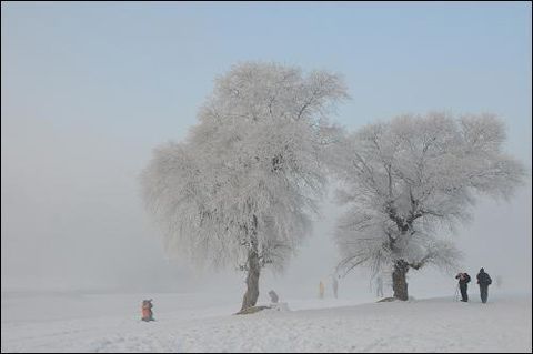 内蒙古和东北遭受罕见严寒 局部逼近-48℃