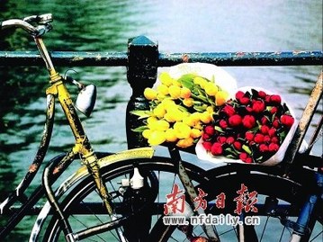 情人节怎么过最幸福?单身情侣过节攻略(组图)