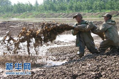 中国人均耕地面积仅为世界40% 18亿亩红线面临挑战