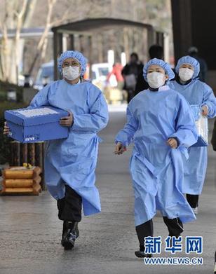 日本检测出牛奶菠菜放射性物质超标 对人体健康无威胁