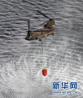 日本检测出牛奶菠菜放射性物质超标 对人体健康无威胁