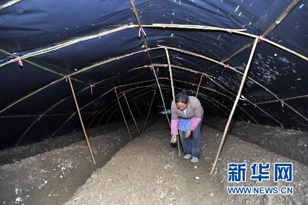 贵州10个县区遭受冰雹灾害 损失严重