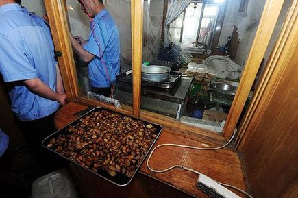 北京查处黑盒饭作坊：饭盒摆在床上卖