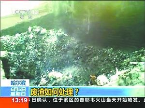 哈药总厂肆意排污被令停产减产(组图)