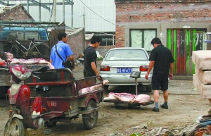 如何斩断“泔水猪”利益链？