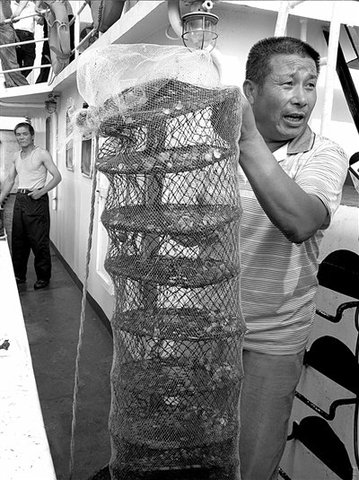 中海油漏油疑致河北海产损失3.5亿 调查无果