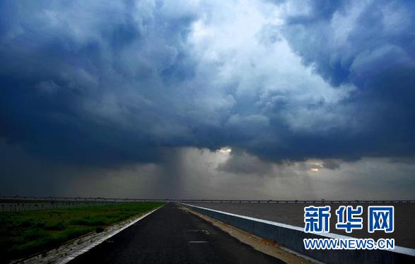 盘点一周网络热词 “王濛被开除”最受关注