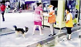 环卫工遭狗主人追骂