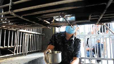 探访“活熊取胆”:全身麻醉后造瘘连接胆管(组图)