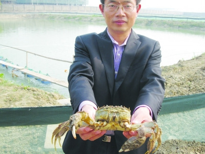一斤重大闸蟹15万 “天价蟹”背后疑点重重(图)