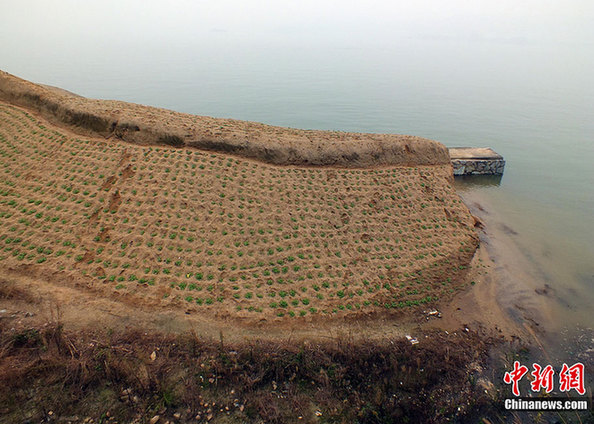 三峡水库再次实现175米蓄水