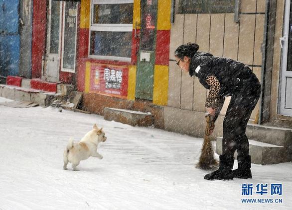 中央气象台继续发布寒潮蓝色预警