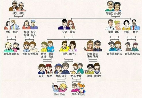 中国亲戚关系图受网友追捧 被赞“回家过年必备”