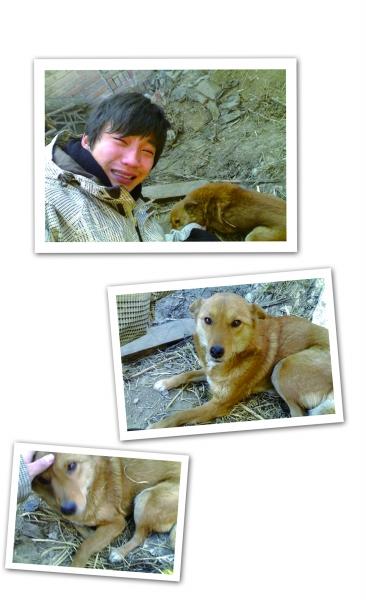 爱犬丢失7年后重逢 “人狗情未了”感动网友(图)