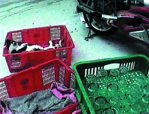消毒如同投毒 广东地下黑厂餐具消毒过程心惊
