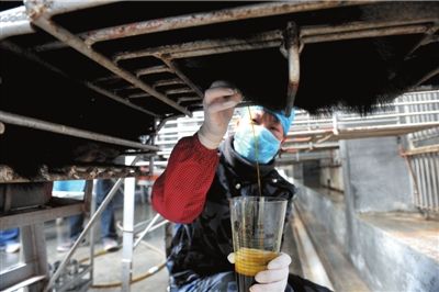 中医药管理局：名贵动物源中药将研发替代品