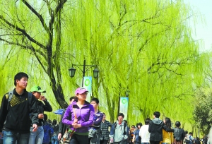 清明3天游园量赶上春节 北京旅游总收入9.89亿