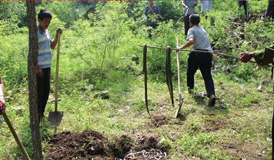 十余北京人赴河北山村放生数千条蛇 引当地恐慌