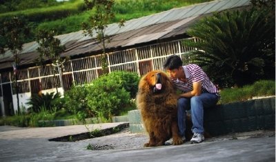 小伙救落水一家三口溺亡 其老板出万元寻被救者