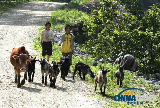 山区儿童的暑假生活[1]