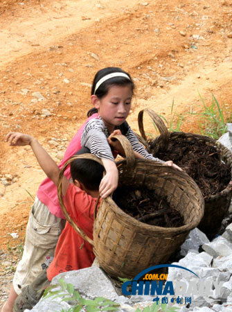 山区儿童的暑假生活