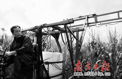 北方遭遇近十年最重虫害 秋粮生产承压