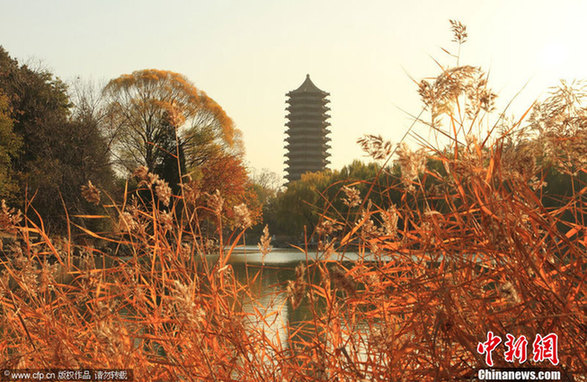 细数京城十大“最美秋天的角落”