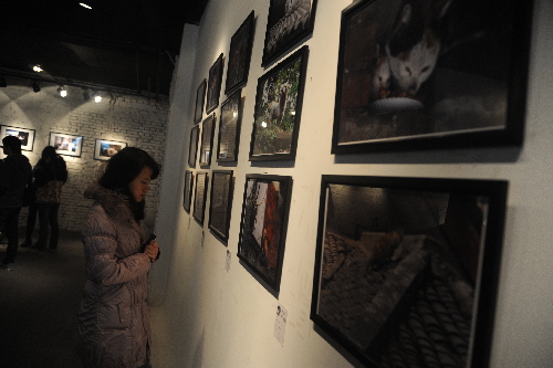 亚洲动物基金举办小动物摄影大赛获奖作品巡展