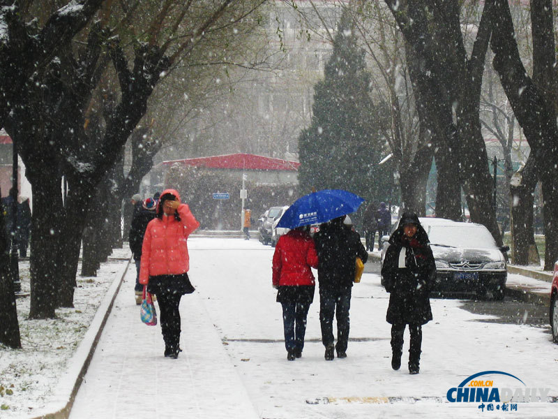 2012年12月12日,路上的的行人在雪中行走.(张少虎 摄)