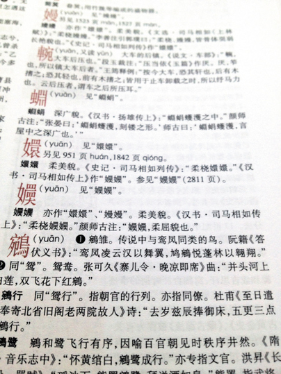 湖南专家叫板《咬文嚼字》 甄嬛念“甄环”没错