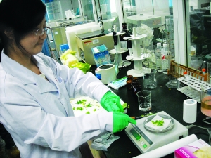 有虫眼儿的菜没打药？实验表明：也有农药残留
