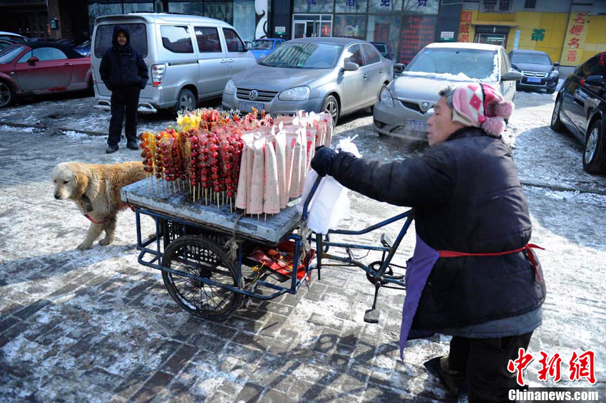 高清组图“义狗”寒冬拉车助身残主人卖冰糖葫芦