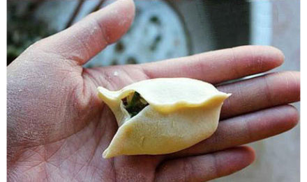 12种饺子包法走红网络 “向日葵饺子”引惊叹
