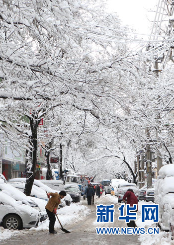 暴雪致京沪及沪宁等高铁降速运行 多趟高铁停运